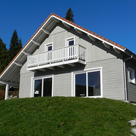 Chalet Myrtille Gérardmer Dış mekan fotoğraf